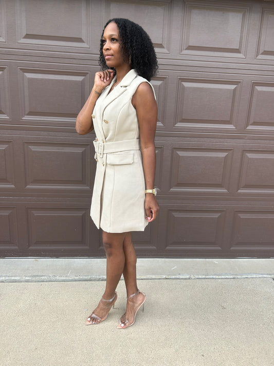 Klassy Look Mini Dress